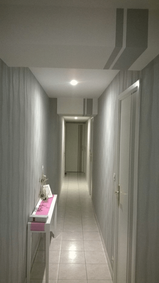 Paillard Déco Murs (1) 105