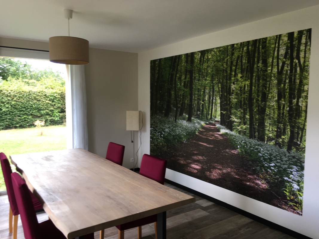 Paillard Déco IMG (1) 301