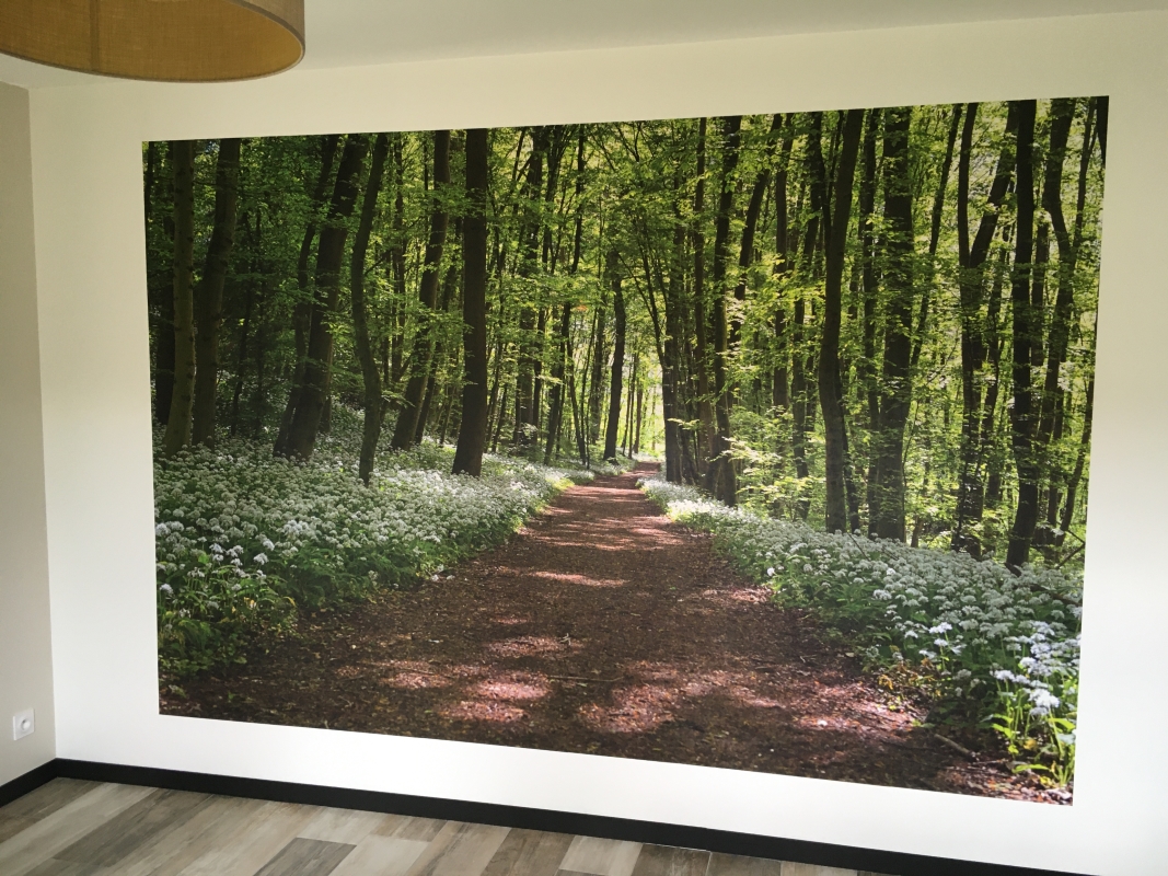 Paillard Déco IMG (43) 300