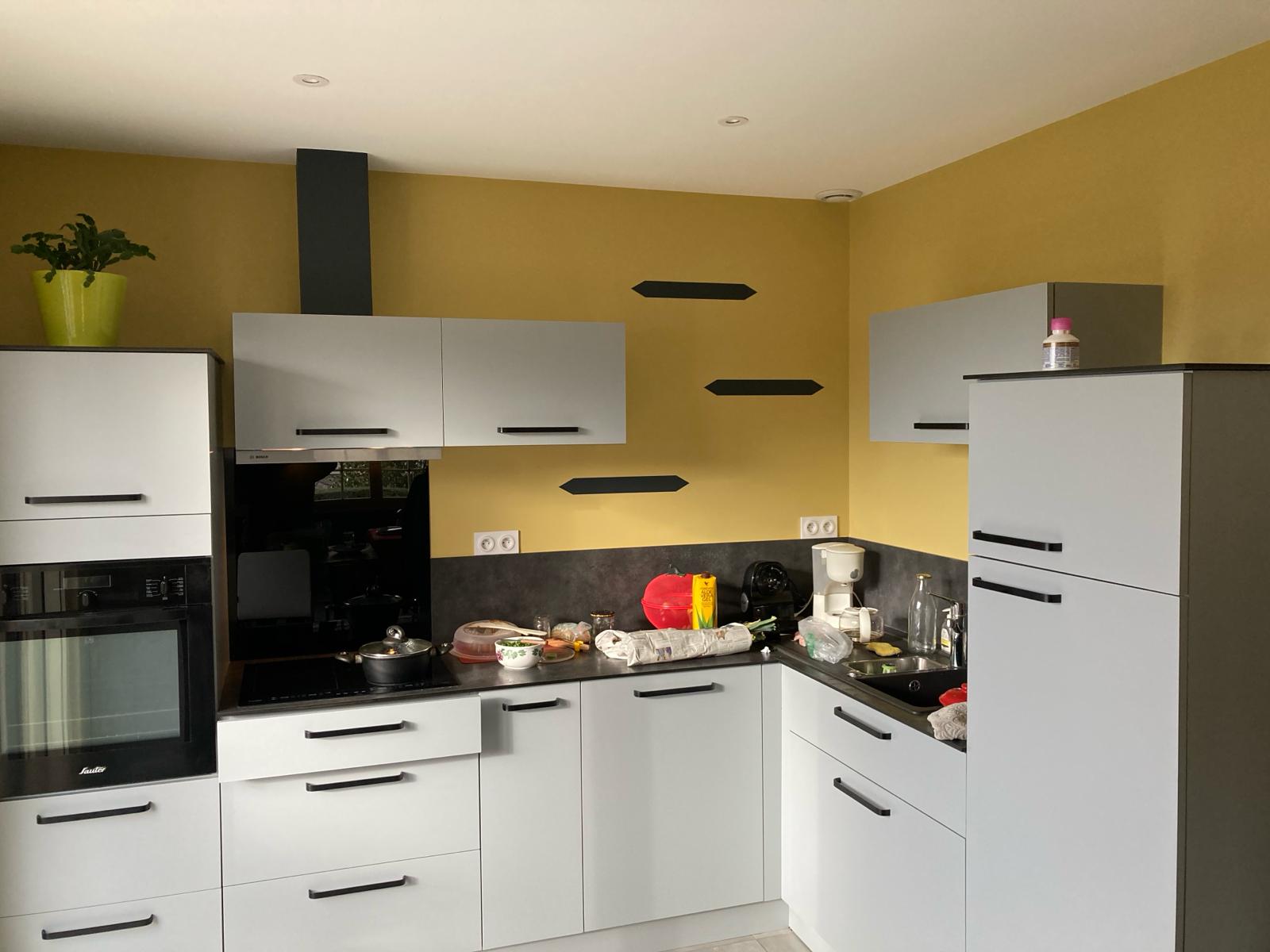 Paillard Déco Murs (14) 413