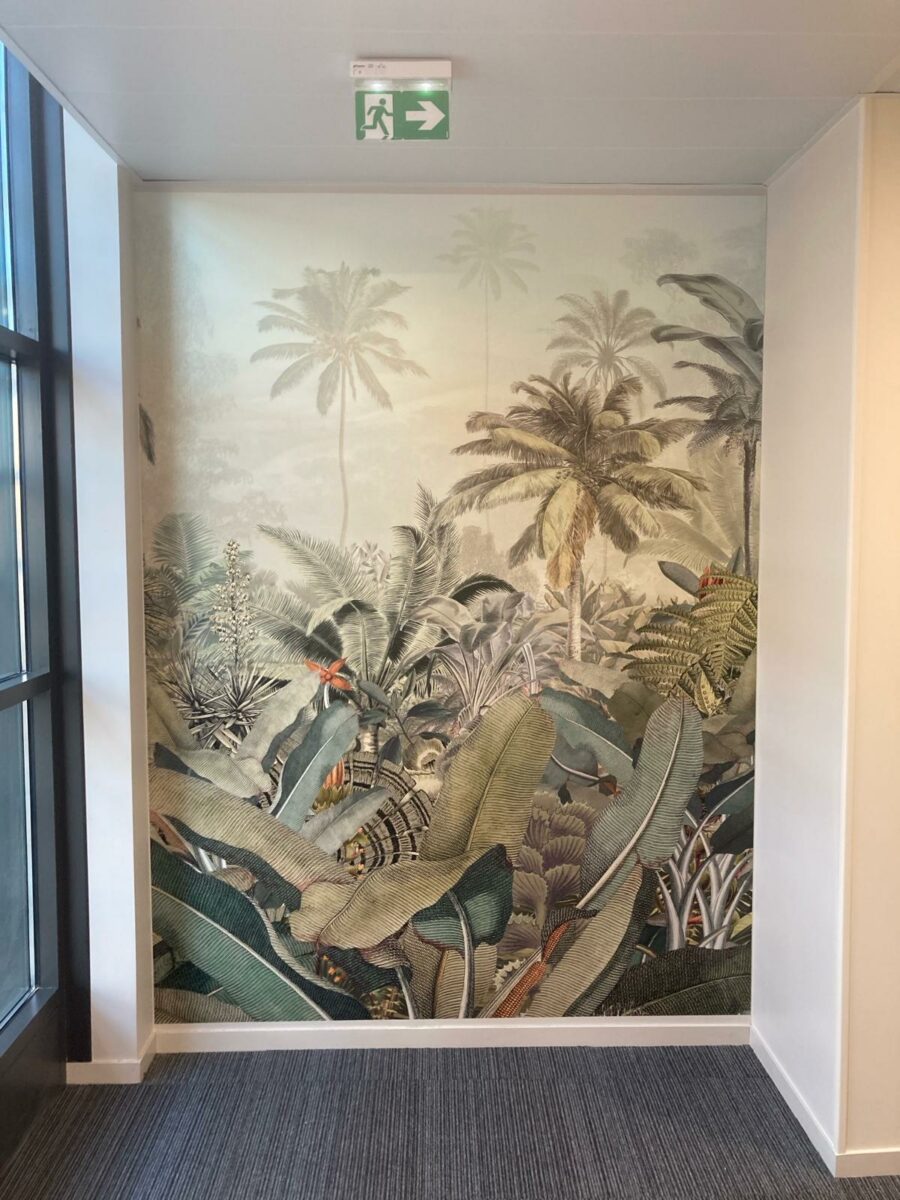 Paillard Déco Murs (22) 421