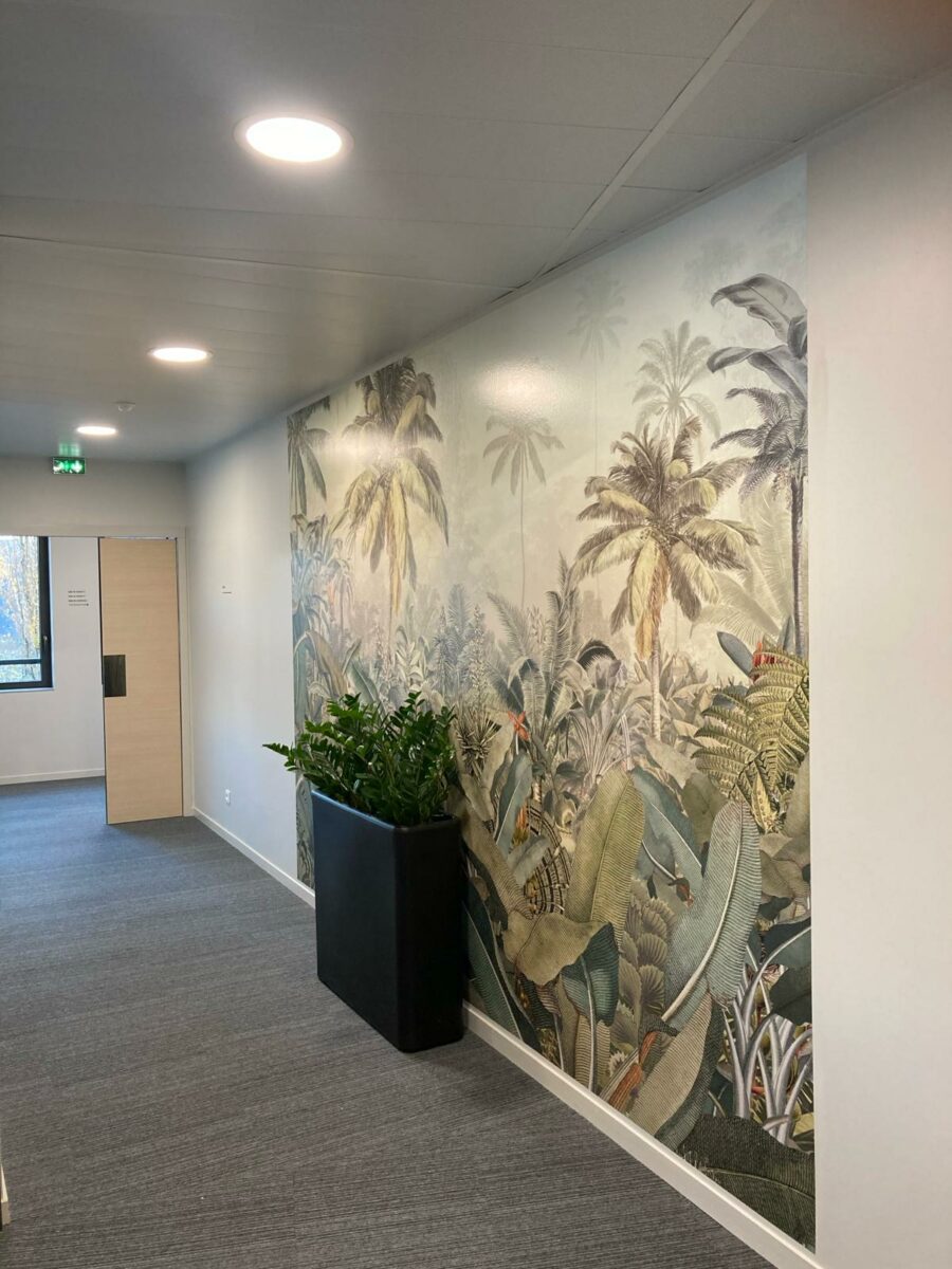 Paillard Déco Murs (24) 423